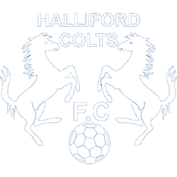 Halliford Colts badge
