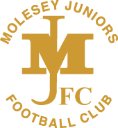 Molesey Juniors FC badge