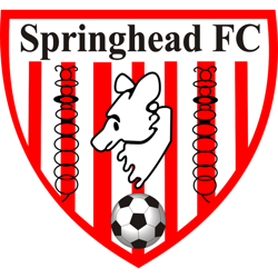 Springhead FC Club Shop