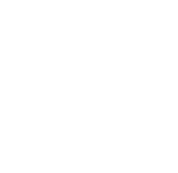 Littleton Junior FC badge